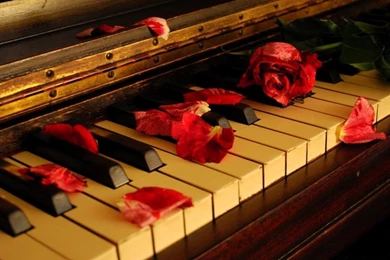 Axl Rose Wallpapers Hd