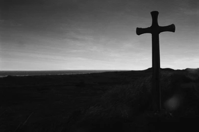 Free Screensavers And Wallpapers   7Screensavers.com