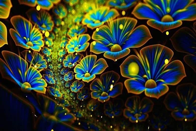 Neon Flowers Live Wallpapers   Android Apps On Google Play