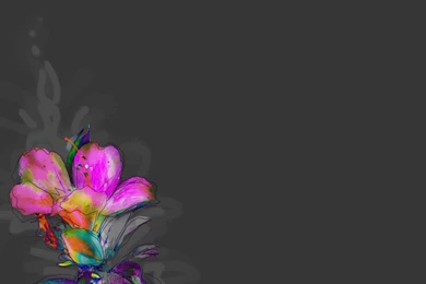Neon Flower Wallpapers