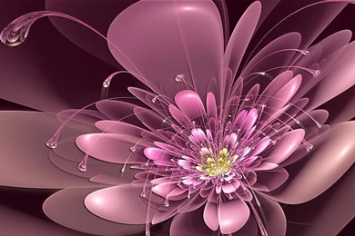 Glowing Flowers Wallpapers   Android Apps On Google Play
