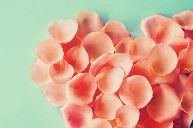 Happy Valentine ❤ iPhone Wallpapers On Pinterest