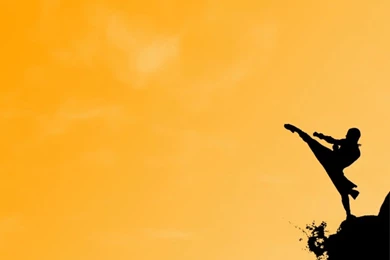 Martial Arts Wallpapers   Wallpapers Cave