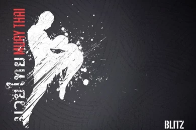 Blitz Muay Thai Wallpapers (1920 X 1440)