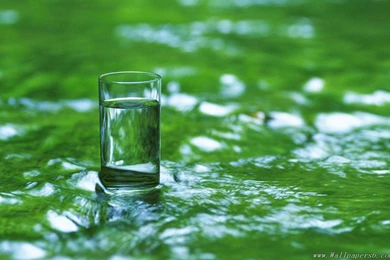 Glass And Clear Brook － Still Lifes Wallpapers   Free Download ...