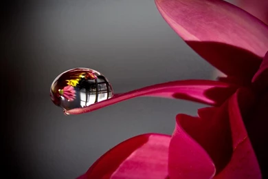 Crystal Clear Water Drops Wallpapers 1024x768 Hd Wallpapers For ...