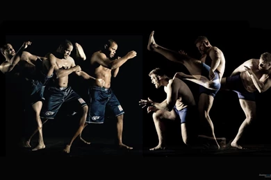 Mixed Martial Arts Wallpapers High Quality