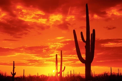 Arizona Wallpaper Backgrounds HD Attachment 6462   HD Wallpapers Site