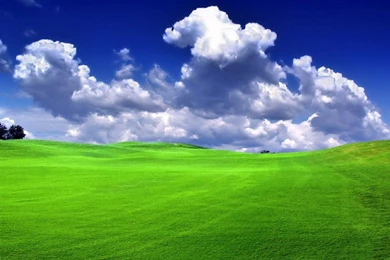 Green_Grass_Blue_Sky_Bliss grass wallpaper nature From AZCPU,INC ...