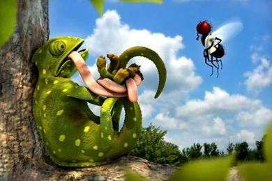 Funny Wallpapers Free