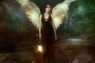 Night Forrest Fairy Wallpapers From Angels Wallpapers