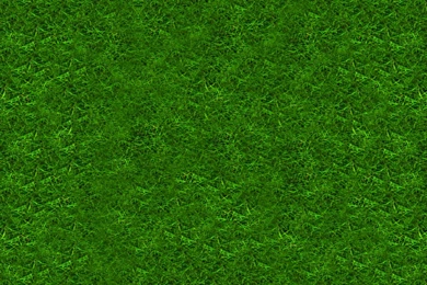 Green Grass Backgrounds Eight