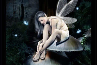 Beautiful Fairies Wallpapers Dark Fairy Myspace