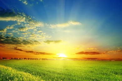 Green Grass Wallpapers, Images, Photos, Pictures & Pics