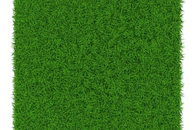 Refreshing Green Grass Backgrounds Vector 02   Vector Backgrounds ...