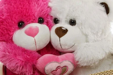 I Love You Teddy Bear Wallpapers   HD Images New
