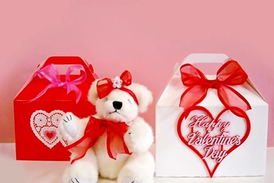 Valentines Teddy Bear Wallpapers