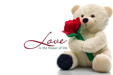 Happy Teddy Day – Gifts & Wallpapers