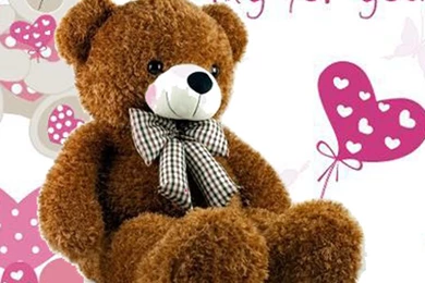 5 Innocent Valentine's Day Brown Teddy Bear HD Wallpapers ...