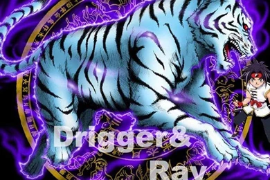 BEYBLADE 1 DRIGGER RAY WALLPAPER   (