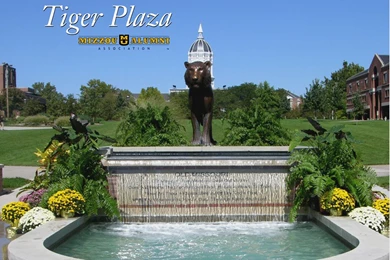 150+ Teams In 150+ Days: The University Of Missouri ...