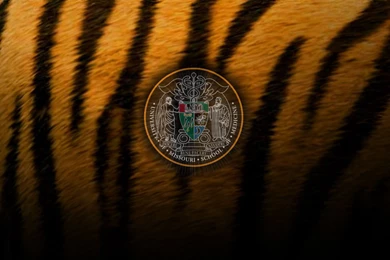 University Of Missouri   School Of Medicine   Multimedia   Image ...