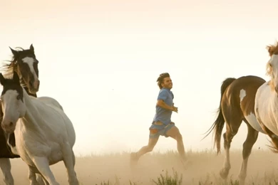 Download Wallpapers, Download 1024x1024 Movies Horses Into The ...