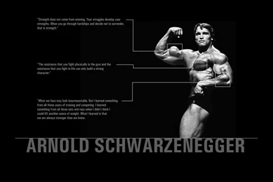 Fonds D'écran Arnold Schwarzenegger : Tous Les Wallpapers Arnold ...