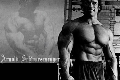 Arnold Schwarzenegger Wallpapers High Resolution And Quality Download