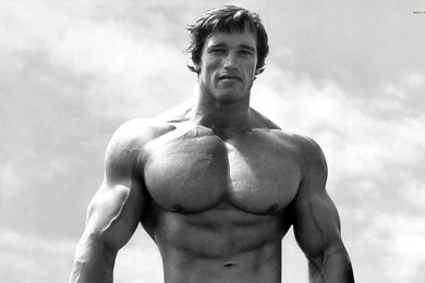 Fonds D'écran Arnold Schwarzenegger : Tous Les Wallpapers Arnold ...