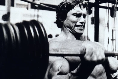 Fonds D'écran Arnold Schwarzenegger : Tous Les Wallpapers Arnold ...