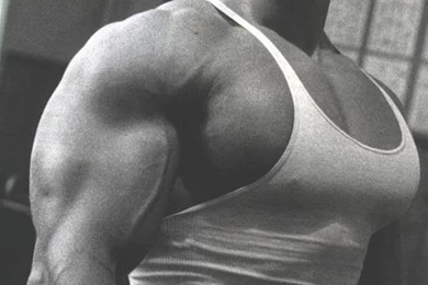 Men Arnold Schwarzenegger Training Wallpapers