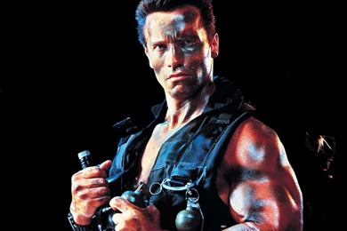 Download Free HD Wallpapers : Arnold Schwarzenegger Conquer ...