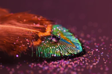 Abstract High Resolution Wallpapers 1080p   Free Hd Wallpapers