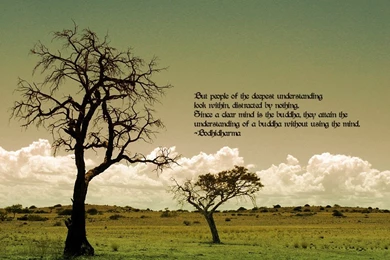 Buddhism Wallpapers   Buddhism, Buddhist, Buddha Wallpapers