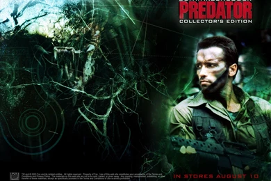 Arnold Schwarzenegger Wallpapers   Wallpapers Cave