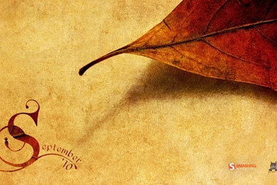 Paper Wallpapers Collection (34+)