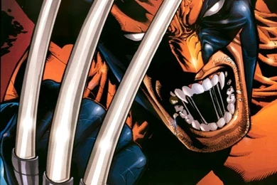 Wolverine Wallpapers