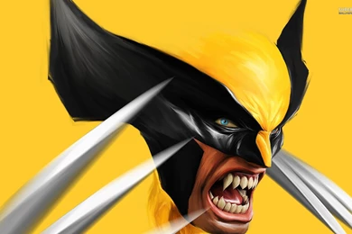 Free Wolverine Wallpapers Phone @3E5 « Wallx