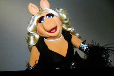 Miss Piggy Wallpapers   Wallpapers Cave