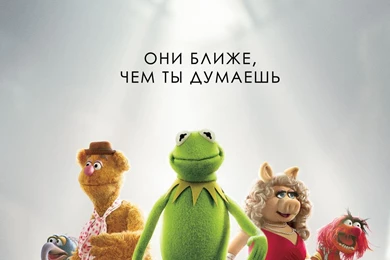Kermit The Frog Miss Piggy Muppet Show Wallpapers