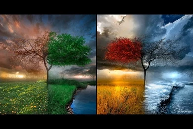 Emma Roberts 2272x3840 Wallpapers – Nature Seasons HD Desktop Wallpapers