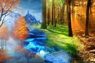 Four Seasons Desktop