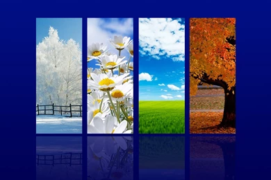 4 SEASONS WALLPAPER   (