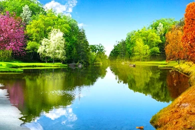 FOUR SEASONS WALLPAPER   (