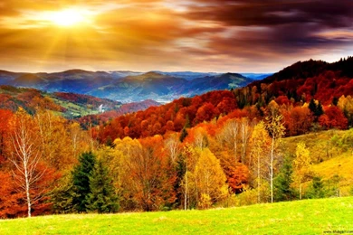 Seasons Autumn HD Desktop Wallpapers   Zibrato