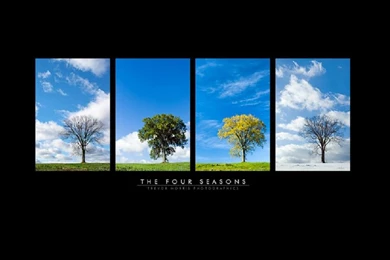 Emma Roberts 2272x3840 Wallpapers – Nature Seasons HD Desktop Wallpapers