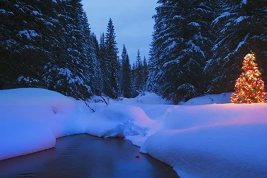 Download Seasons Wallpapers 1920x1080