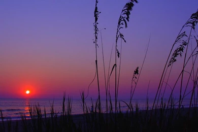Coastal Carolina University Wallpapers Desktop Background Myrtle Beach South Carolina Pictures Wallpapers Hd Fine