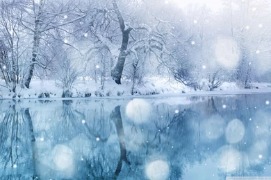 Winter Snowfall HD Desktop Wallpapers : High Definition : Mobile ...